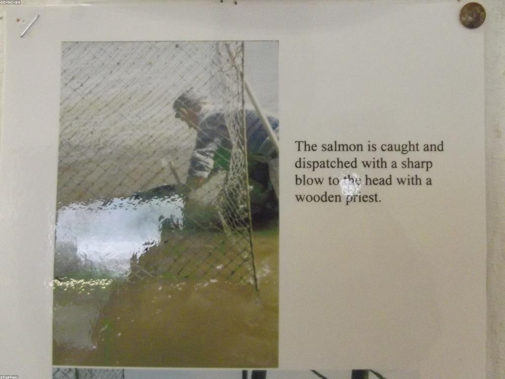 គន្លឹះបាញ់ត្រី: យុទ្ធសាស្ត្របច្ចេកទេសកនេះធ្វើឱ្យអ្នកជោគជ័យ