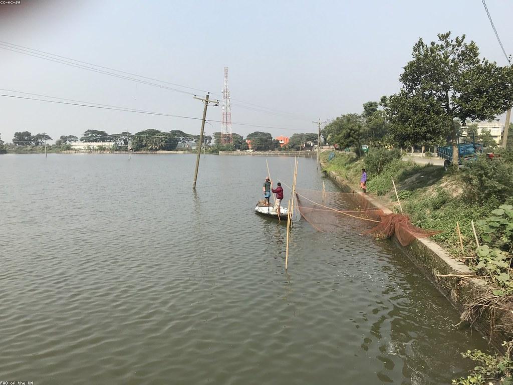 វិធីសាស្ត្រថ្មីៗសម្រាប់ប្រើប្រាស់ឧបករណ៍បាញ់ត្រី