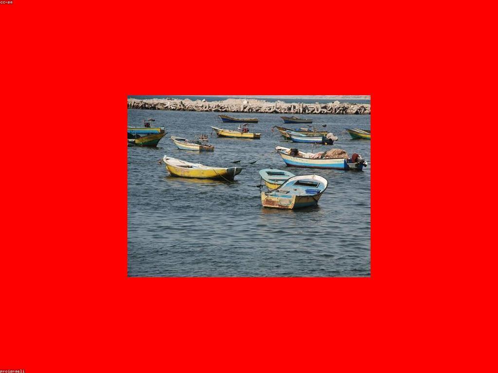 គន្លឹះសំខាន់សម្រាប់ភាពជោគជ័យក្នុងការបាញ់ត្រី