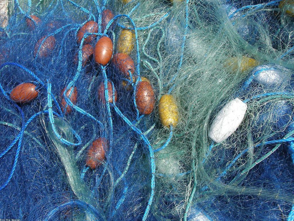 វិធីរកចំណេញពីបាញ់ត្រី