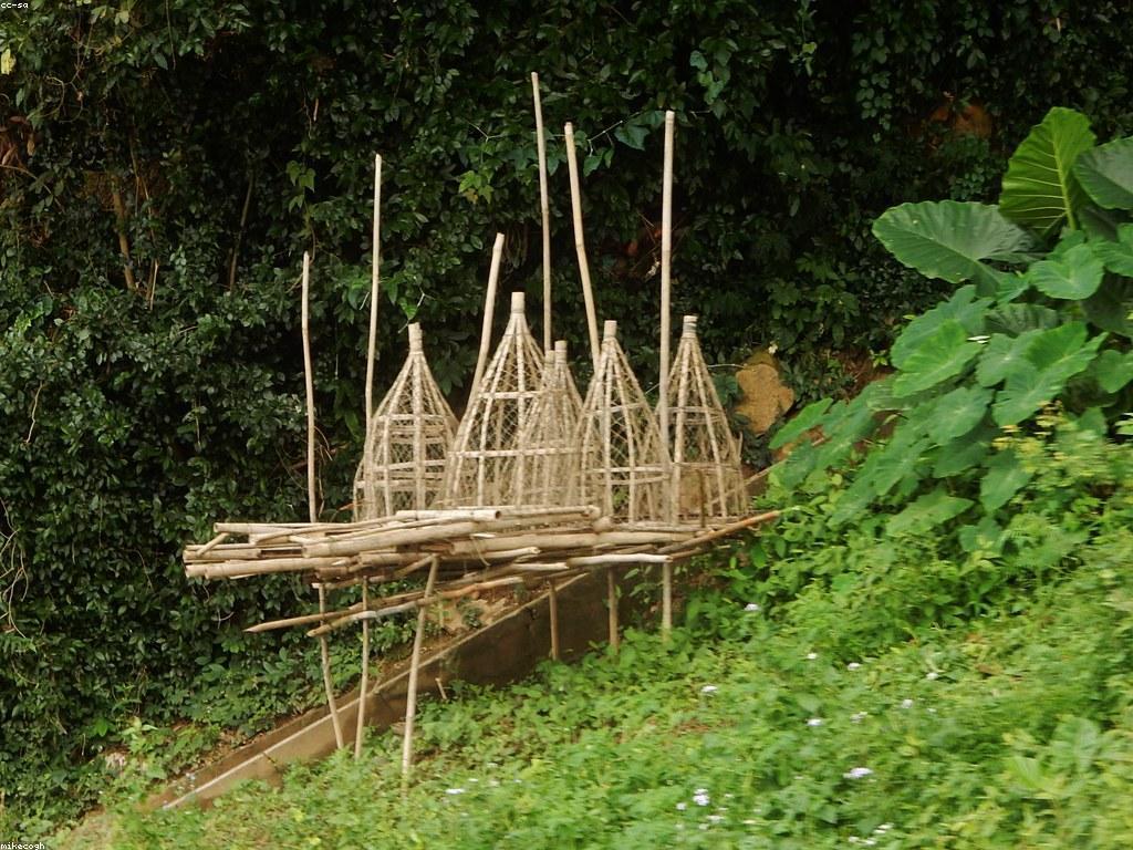 ឧបករណ៍បាញ់ត្រីដ៏ប្រសើរ