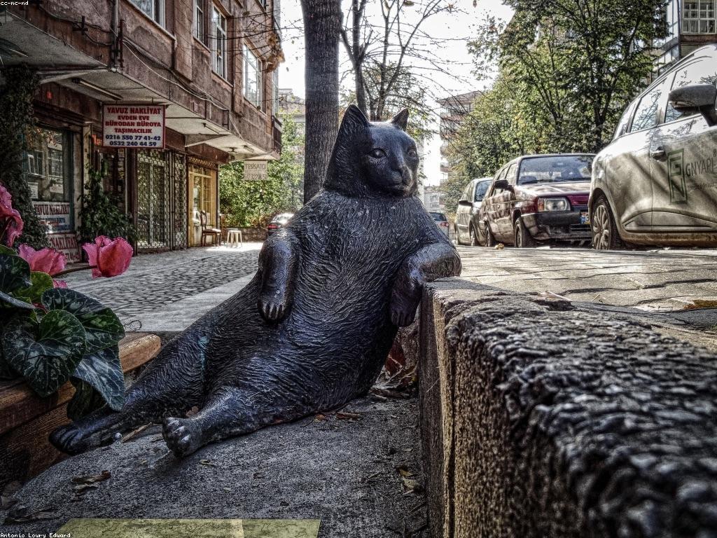 គម្របឧបករណ៍បាញ់ត្រីសម្រាប់អ្នកចាប់ត្រី