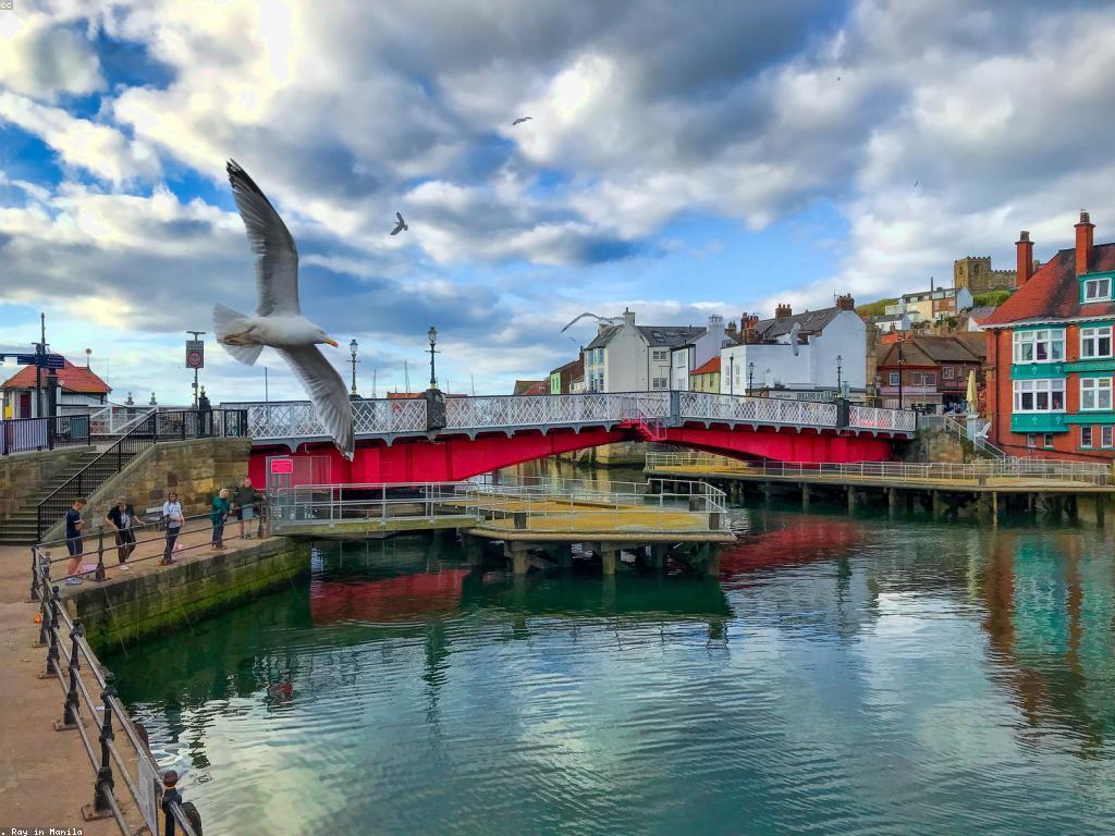 ការស្វែងយល់អំពីទីកន្លែងបាញ់ត្រីដ៏អស្ចារ្យ