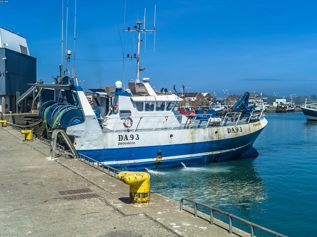 ឧបករណ៍បាញ់ត្រីដ៏ប្រសើរ